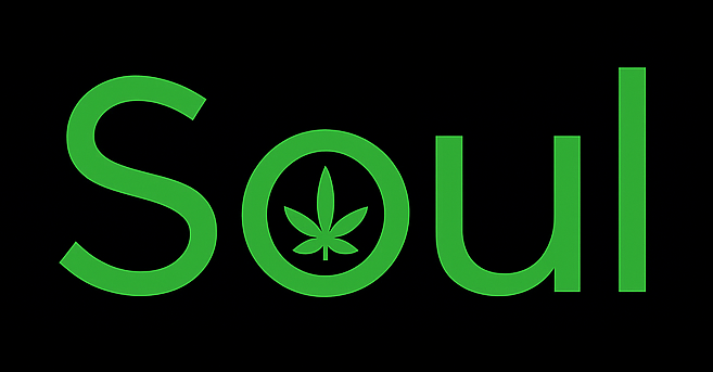 Logo Projeto Soul