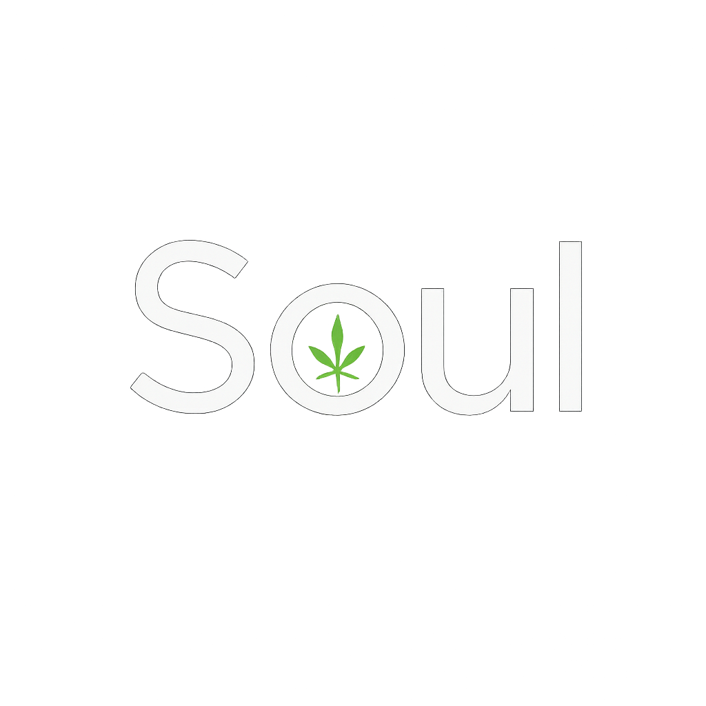 Soulsa IA