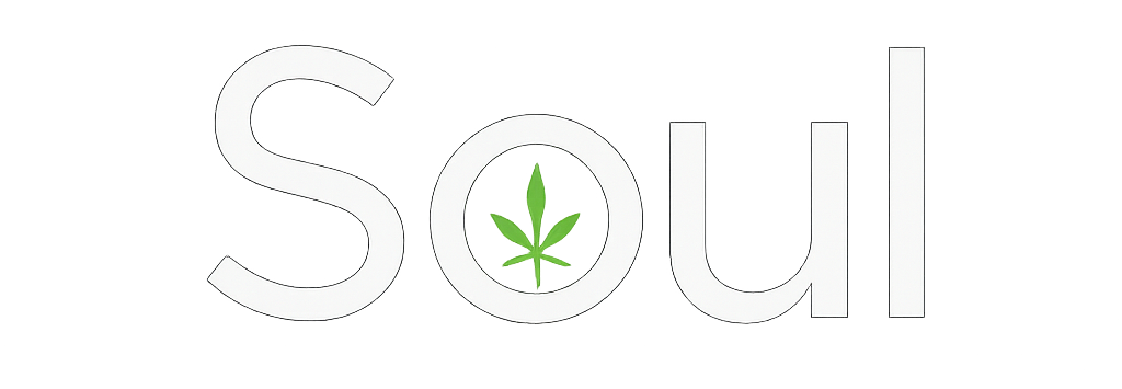 Soulsa, o especialista IA do Projeto Soul