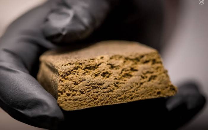 Haxixe Medicinal