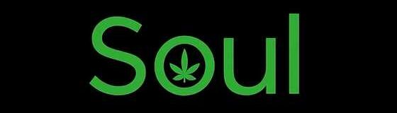 Projeto Soul